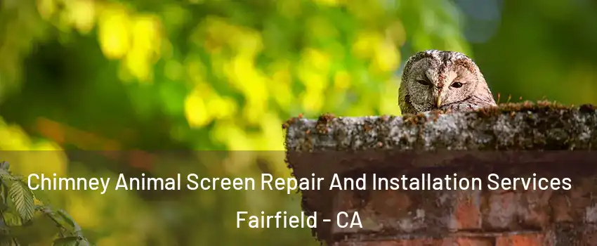  Chimney Animal Screen Repair And Installation Services Fairfield - CA
