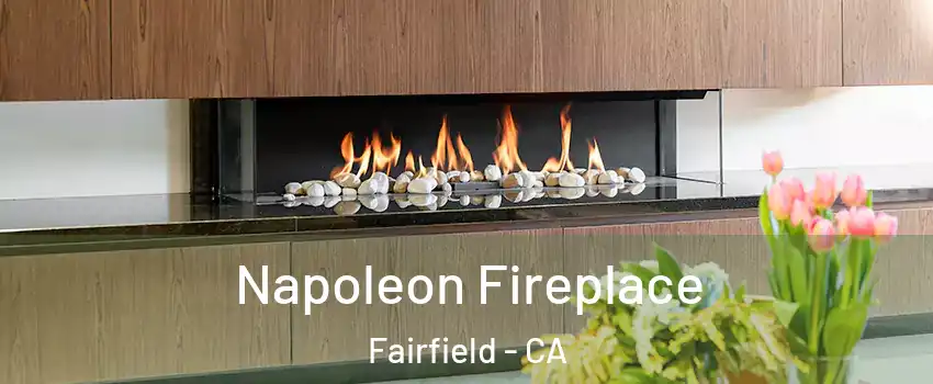  Napoleon Fireplace Fairfield - CA